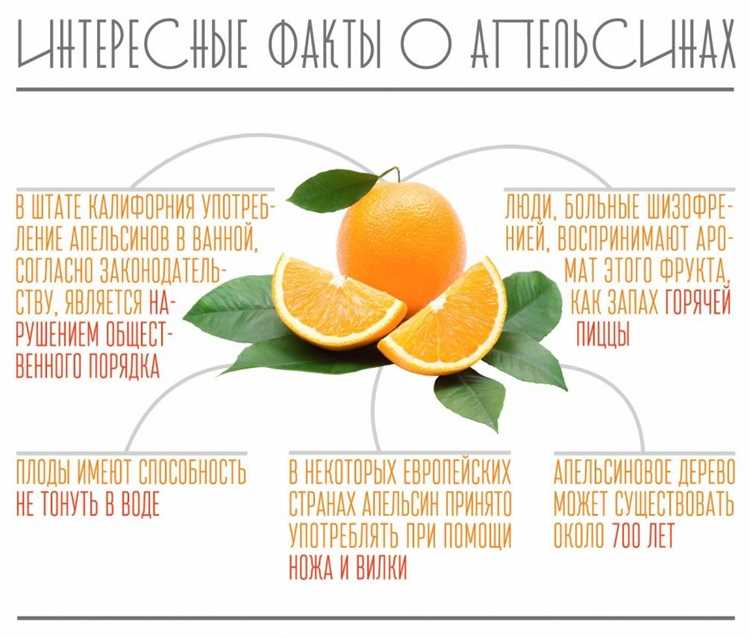 Что скрывается под оранжевой кожурой: факты, которые заставят вас пересмотреть отношение к цитрусу