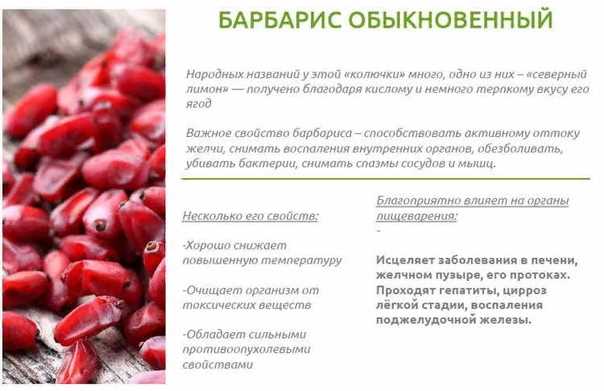 Что в итоге: стоит ли игра свеч?