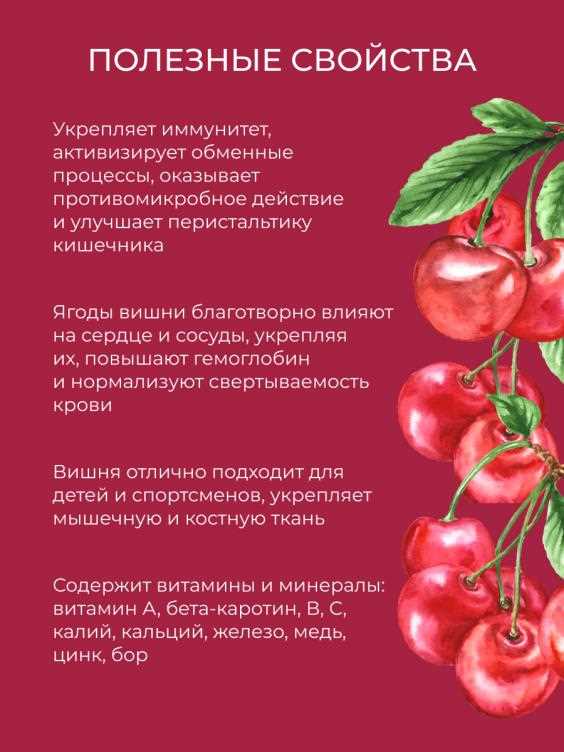 Польза и вред вишни для здоровья организма человека