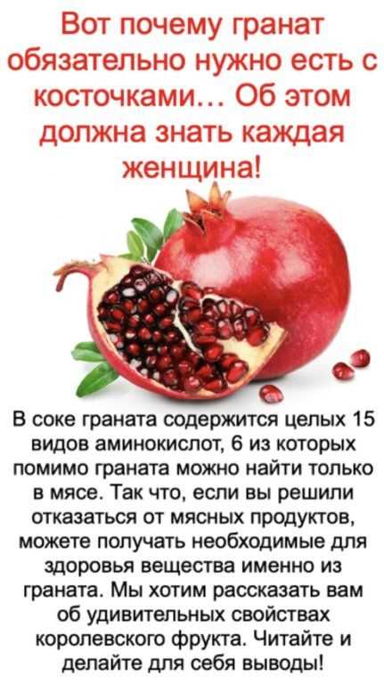 Польза кожуры граната для здоровья организма человека Польза кожуры граната для здоровья организма человека