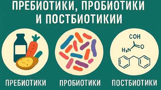 Основные противопоказания и рекомендации по выбору пробиотиков
