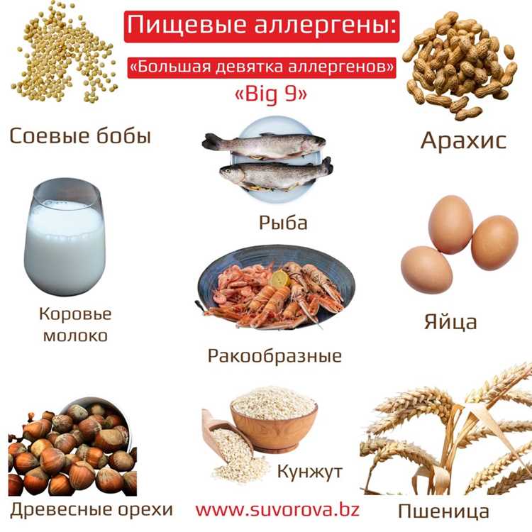 Что делать, если аллергия уже есть: инструкция по выживанию