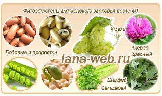 Какие семена и орехи стоит включить в рацион для баланса гормонов