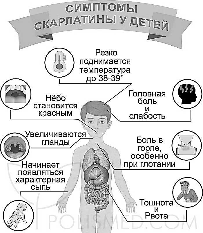 Первые звоночки: когда бить тревогу