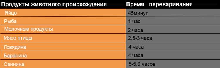 Сколько времени переваривается пища в желудке человека Сколько времени переваривается пища в желудке человека