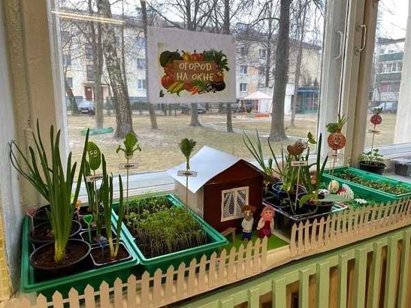 Создайте зелёный мир на подоконнике: советы и идеи для вас