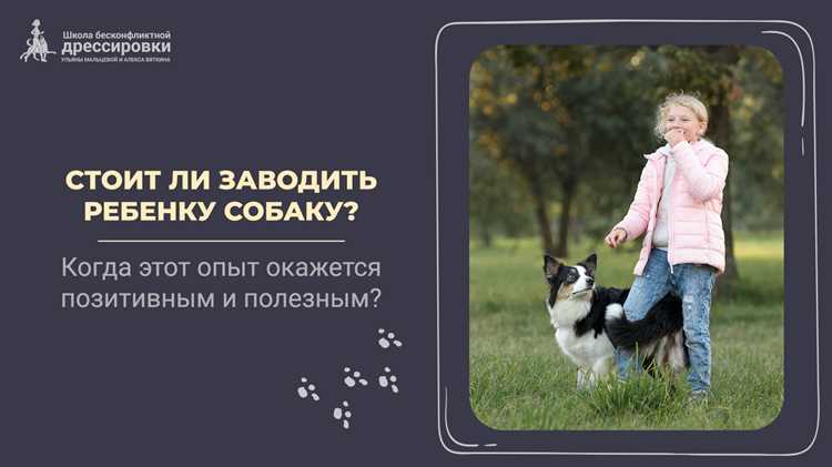 Какие питомцы подойдут малышам и подросткам: возрастные лайфхаки