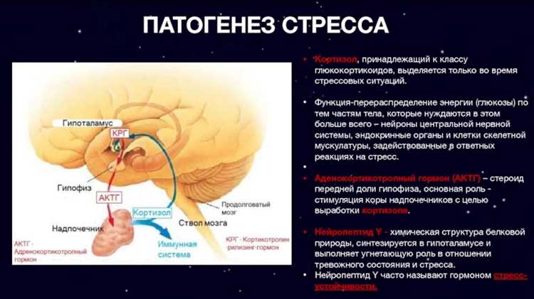 Стресс и гормоны: как восстановить гармонию в организме