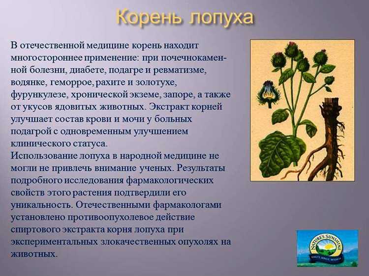 Чем он так хорош: факты, а не байки