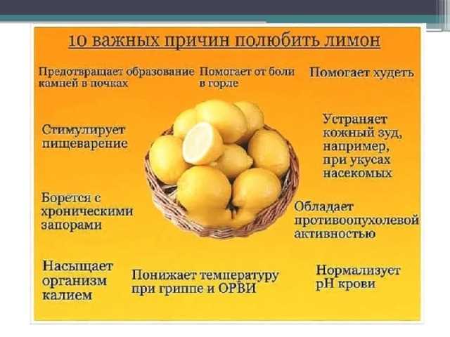 Мифы и правда: что на самом деле умеет этот напиток