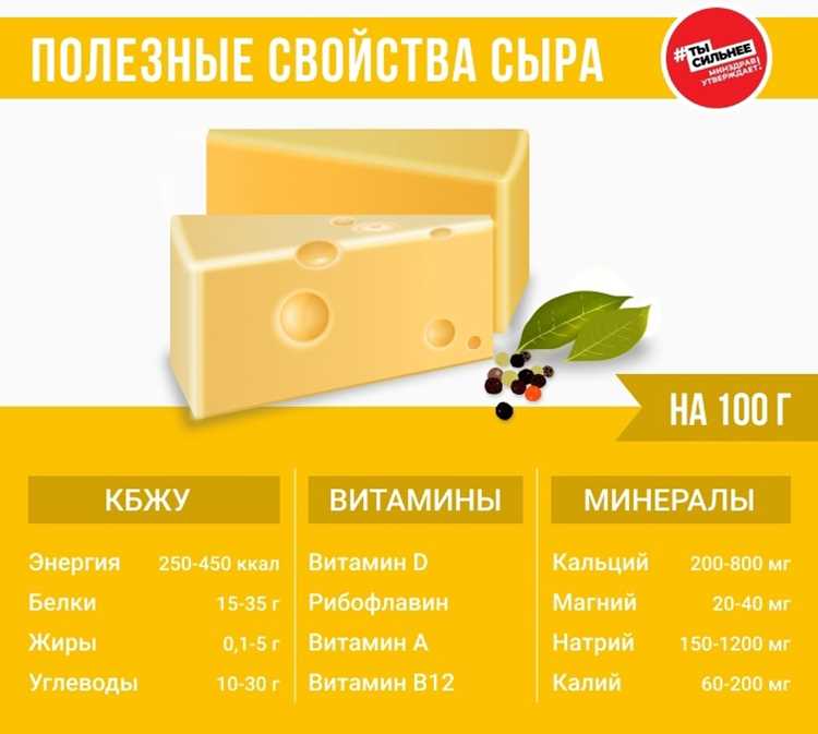 ТОП-10 полезных видов сыров и их свойства