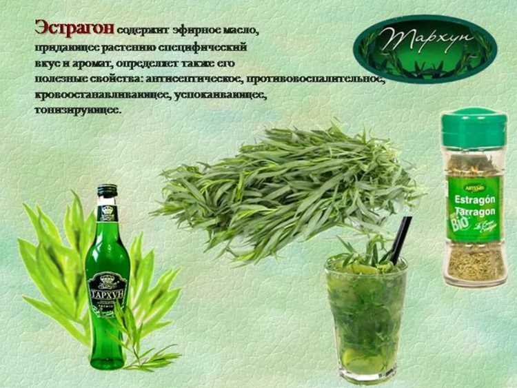 Начнём с того, что эстрагон – это не только про вкус. Да, он отлично сочетается с рыбой, курицей и даже яйцами (попробуйте омлет с эстрагоном – это как открыть для себя новый уровень завтрака). Но его возможности гораздо шире. Например, знали ли вы, что эта трава – природный антидепрессант? В ней содержится эстрагол, который помогает справиться с тревожностью и улучшает настроение. Представьте: вместо того чтобы глотать таблетки после тяжёлого дня, вы просто завариваете чай с эстрагоном и мятой. Звучит как реклама из 90-х, но это работает. Конечно, если у вас серьёзные проблемы с психикой, травками не обойтись, но для лёгкой хандры или сезонной тоски эстрагон – отличный вариант.