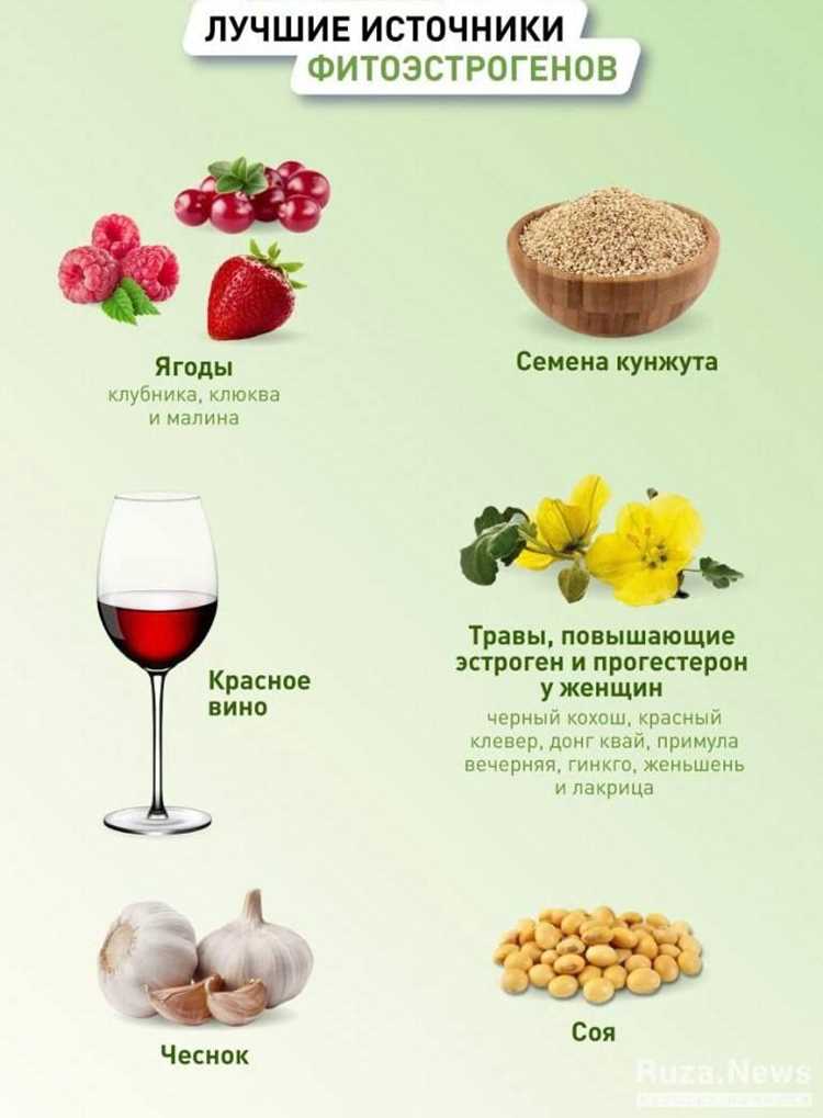 Какие растительные продукты с высоким содержанием фитоэстрогенов стоит включить в рацион